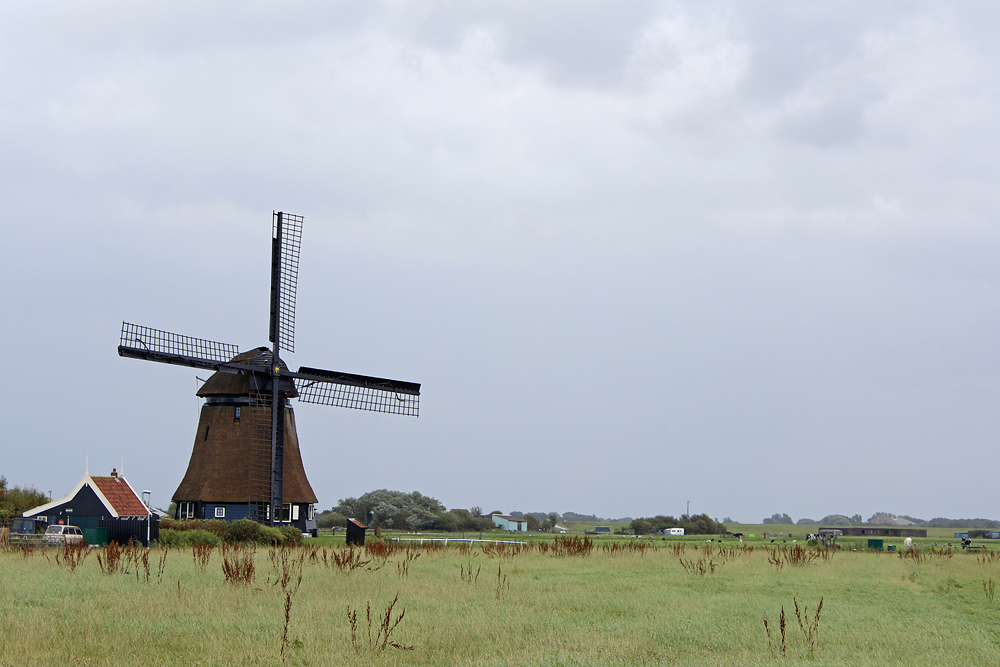 Ländliches Idyll (Burgervlotbrug / Nordholland / Niederlande)