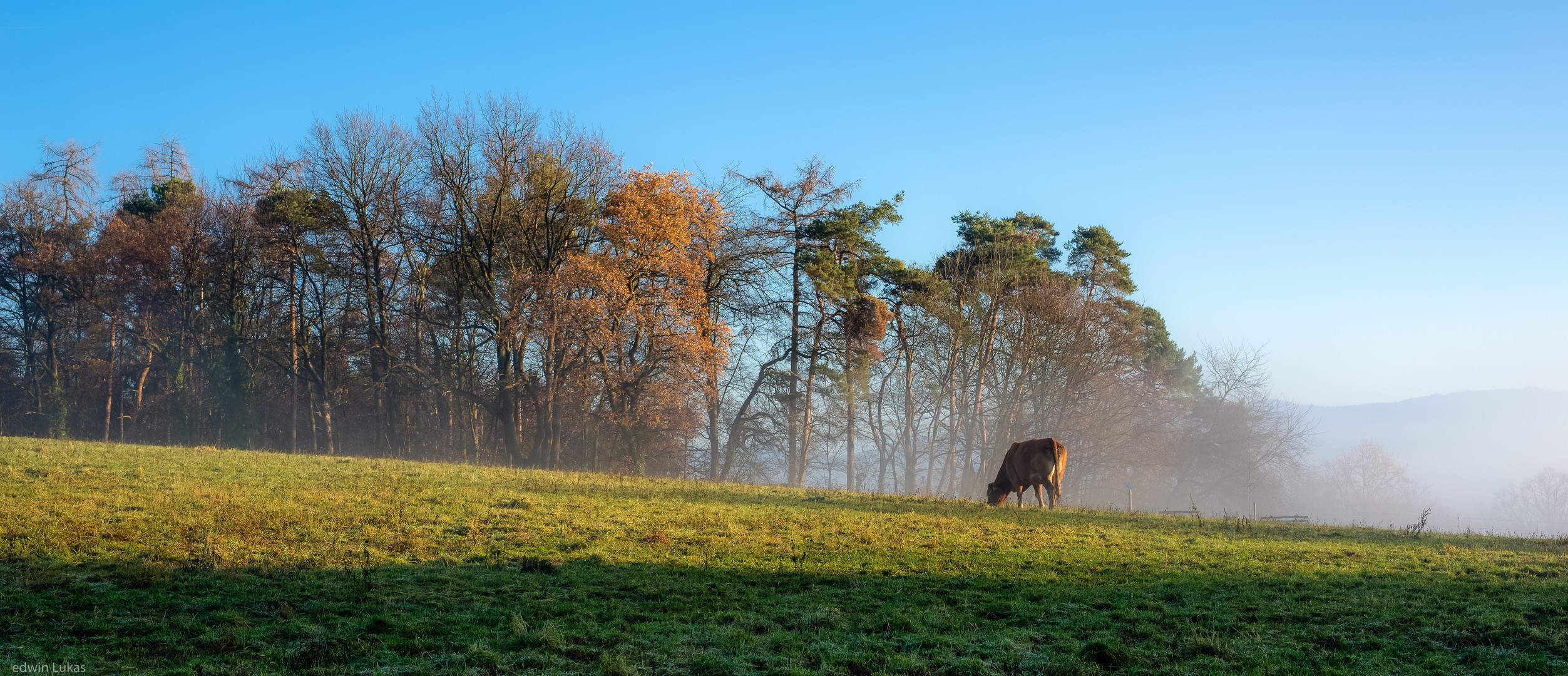 Ländliches Idyll