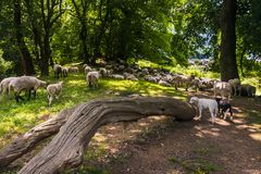 Ländliches Idyll