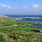 ländliches Irland am Südwestzipfel von Beara