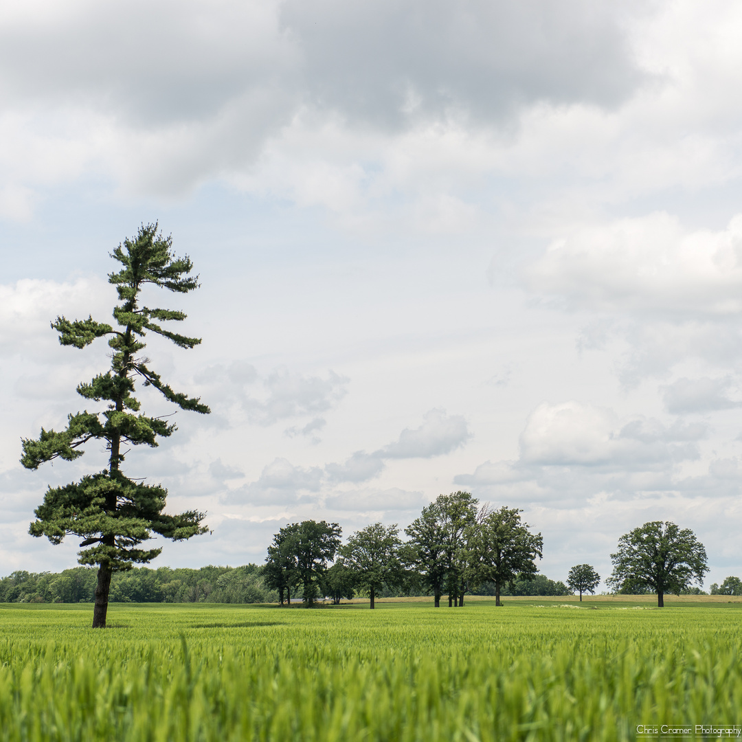 Ländliches Ontario