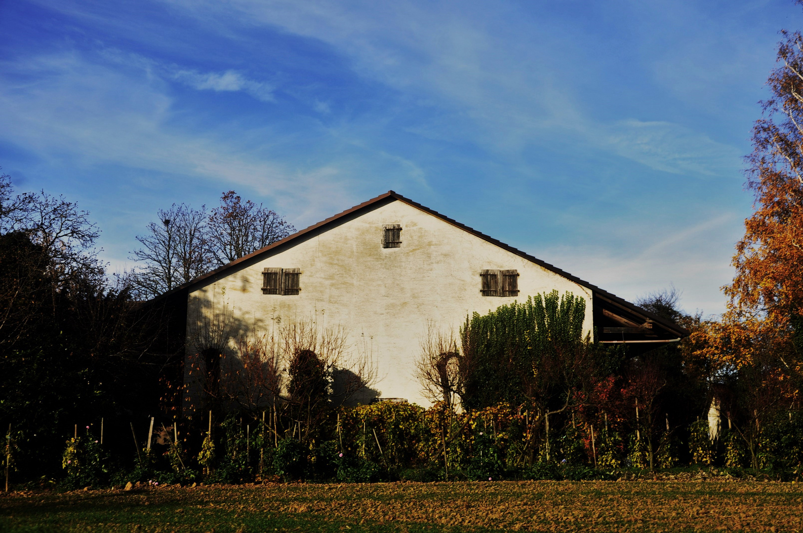 Ländliches Reifes im Herbst