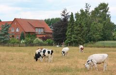 ländliches Weyhe zur Sommerzeit