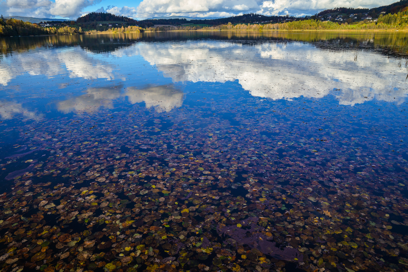 Längsee