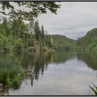 Längsee