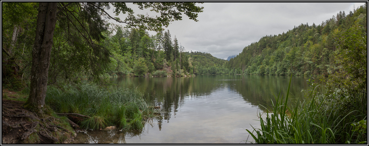 Längsee