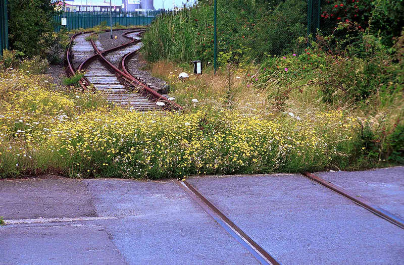 Längst ist viel mehr Gras darüber gewachsen