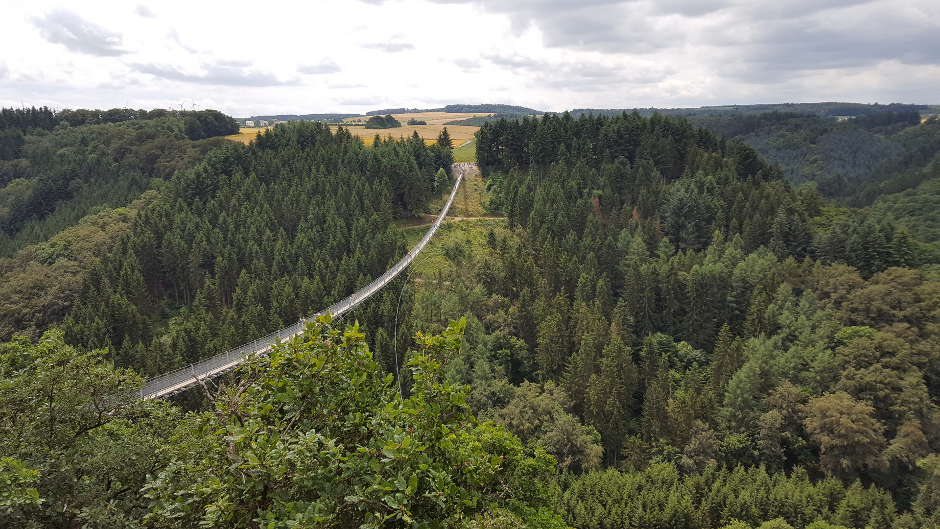 Längste Hängebrücke Deutschlands