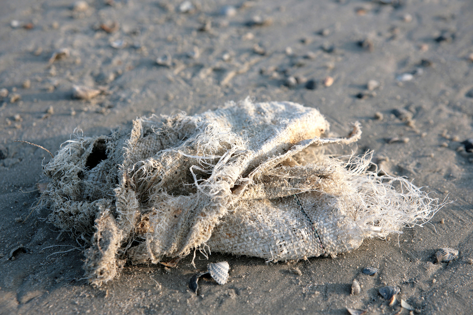 läppischer lappen am strand