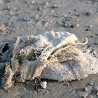 läppischer lappen am strand