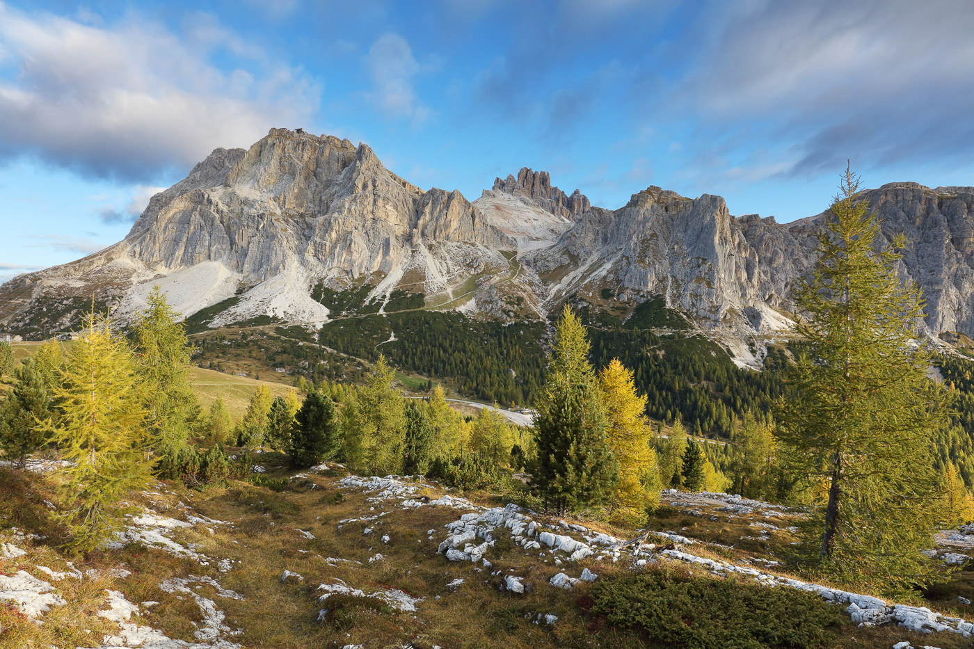 Lärchen am Falzaregopass im Herbst