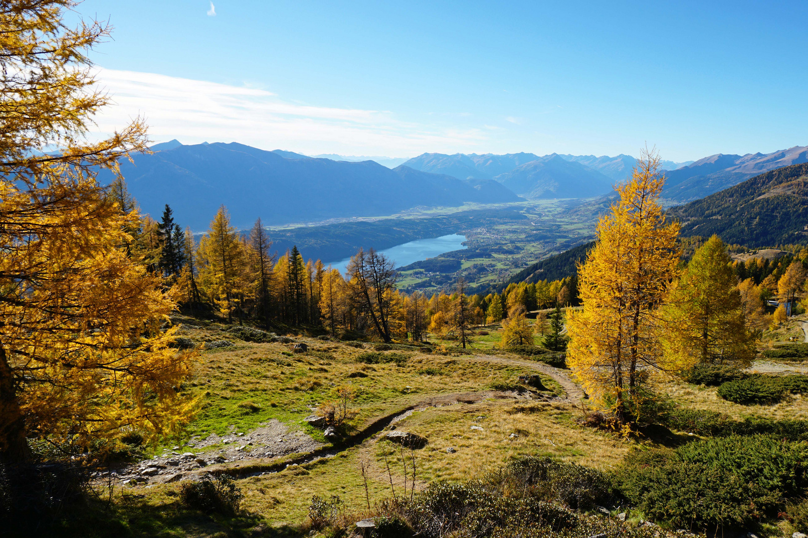 Lärchen hoch überm Millstätter See