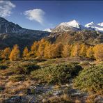 Lärchenband im Herbstgewand