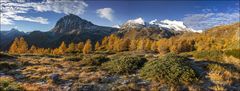 Lärchenband im Herbstgewand