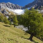 Lärchenberge im Herbst