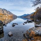 Lärchenfärbung am Silvaplanasee im Engadin