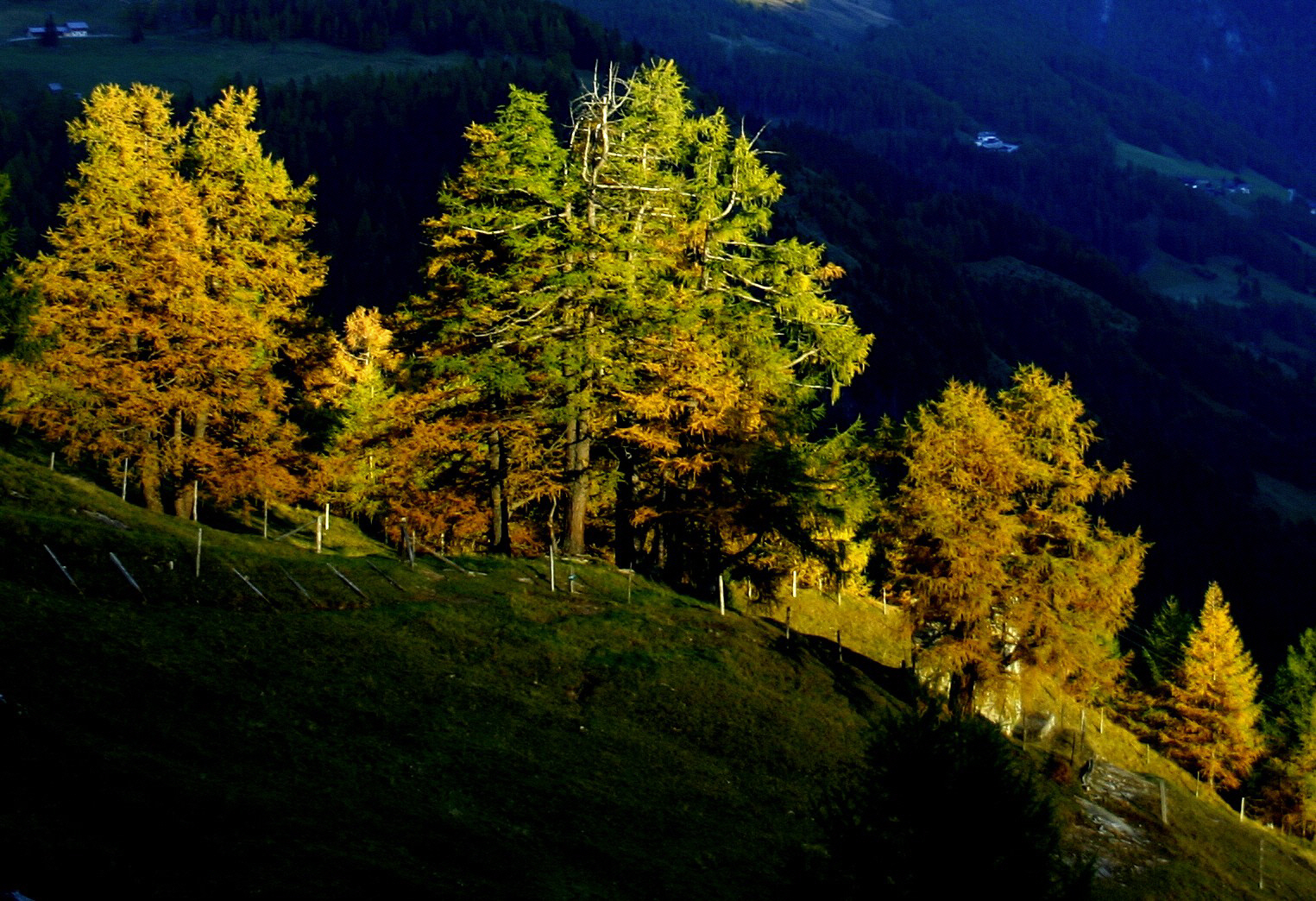 Lärchengold - Großglockner Rundtour