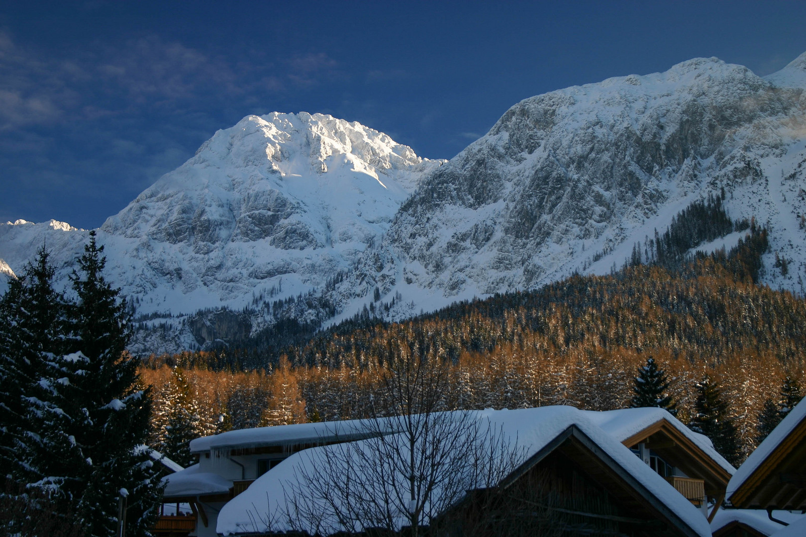 Lärchenhang in der Morgensonne