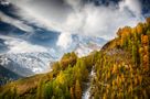 Lärchenherbst von Frank Oberle 