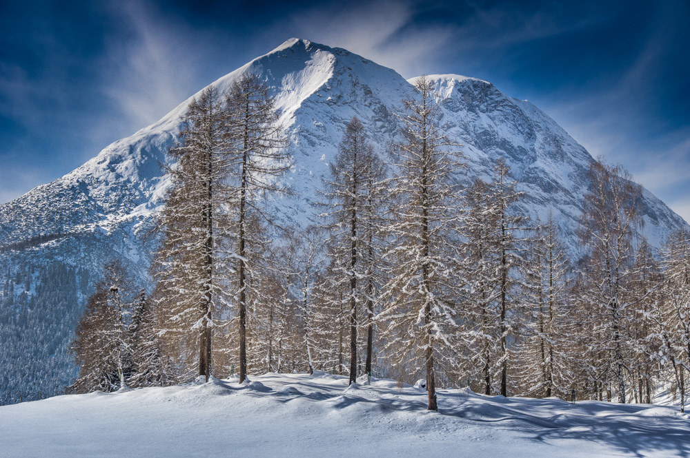 Lärchenwinter