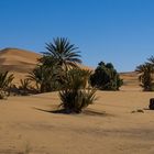 Lärm im Erg Chebbi