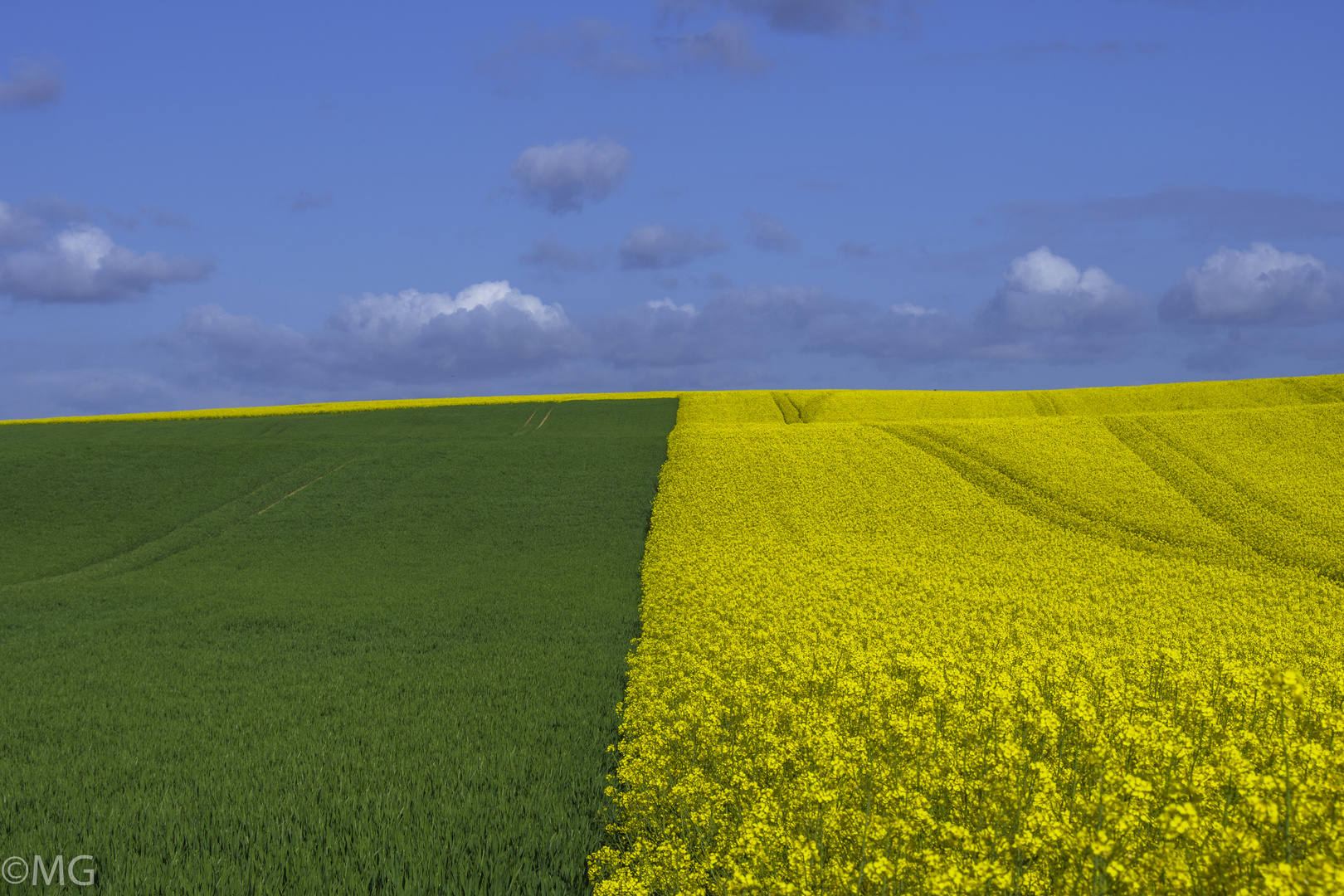 Läuchtendes Gelb-sattes Grün und blauer Himmel