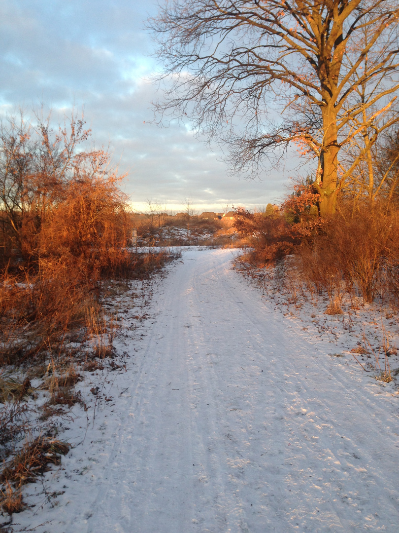 Läufchen im Schnee am Anfang des Jahres