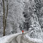 Läufer im Schnee