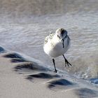 Läuft am Strand