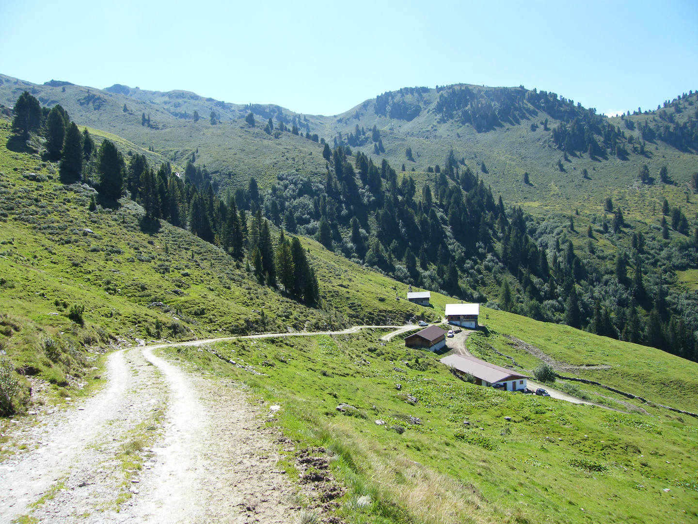 Lafasteralm oberhalb vom Weerberg 2