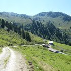 Lafasteralm oberhalb vom Weerberg 2