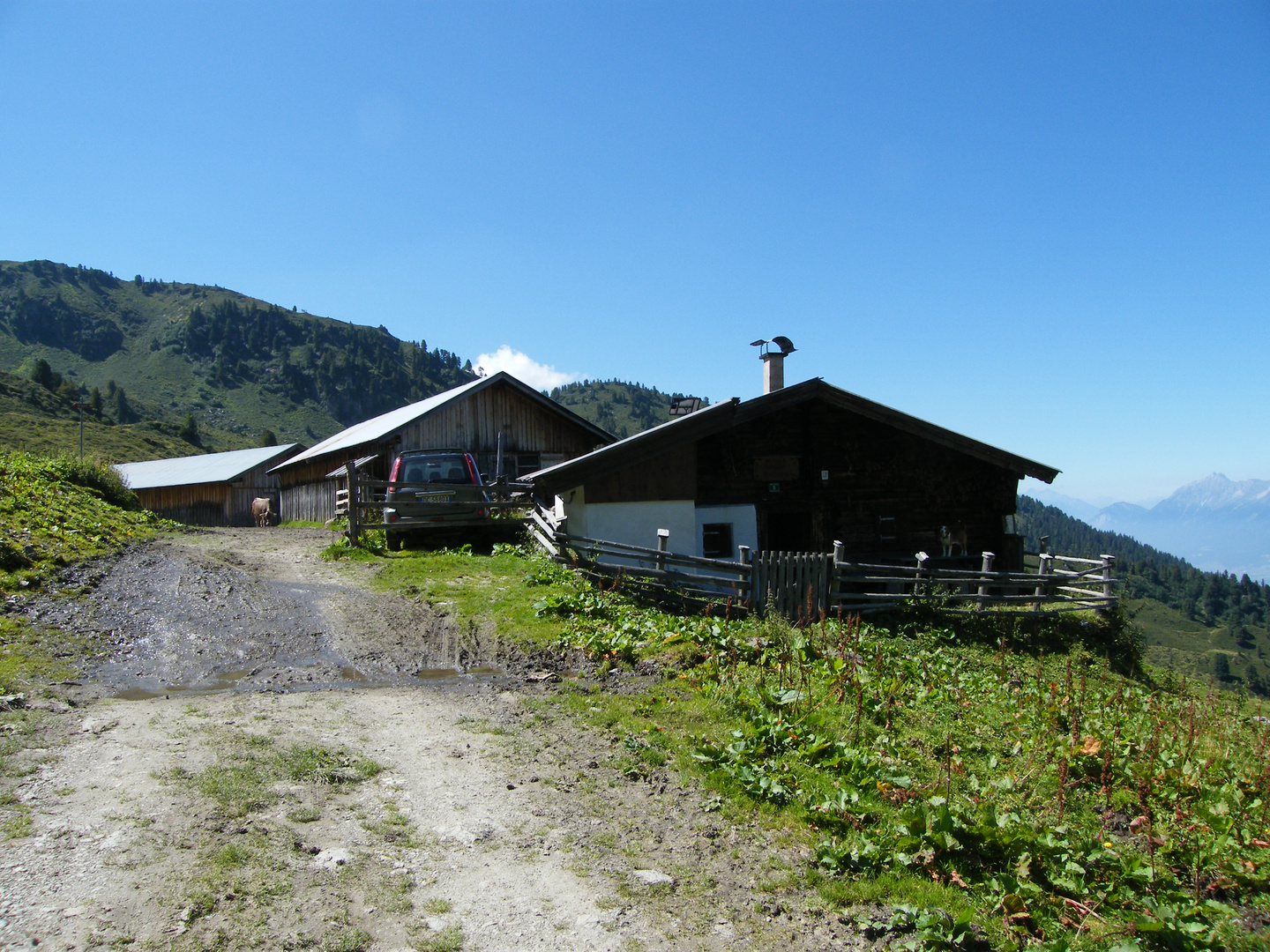 Lafasteralm oberhalb vom Weerberg