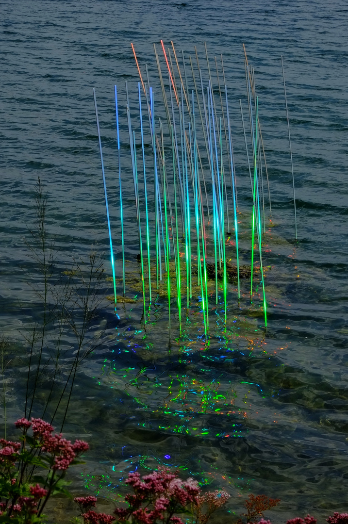 LAGA Zülpich 2014 - Rainbow Lights