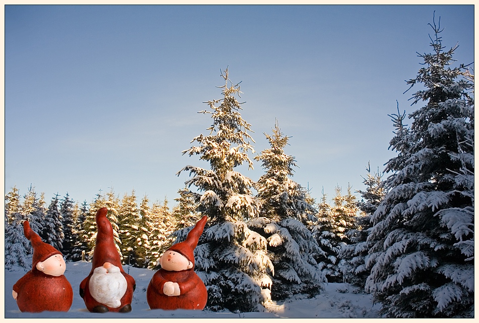 Lagebesprechung im Winterwald