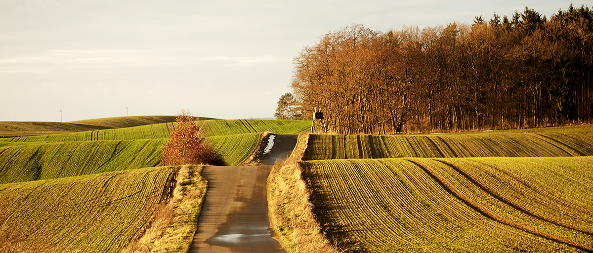 Lagen - Landschaft