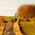 Lagen - Landschaft