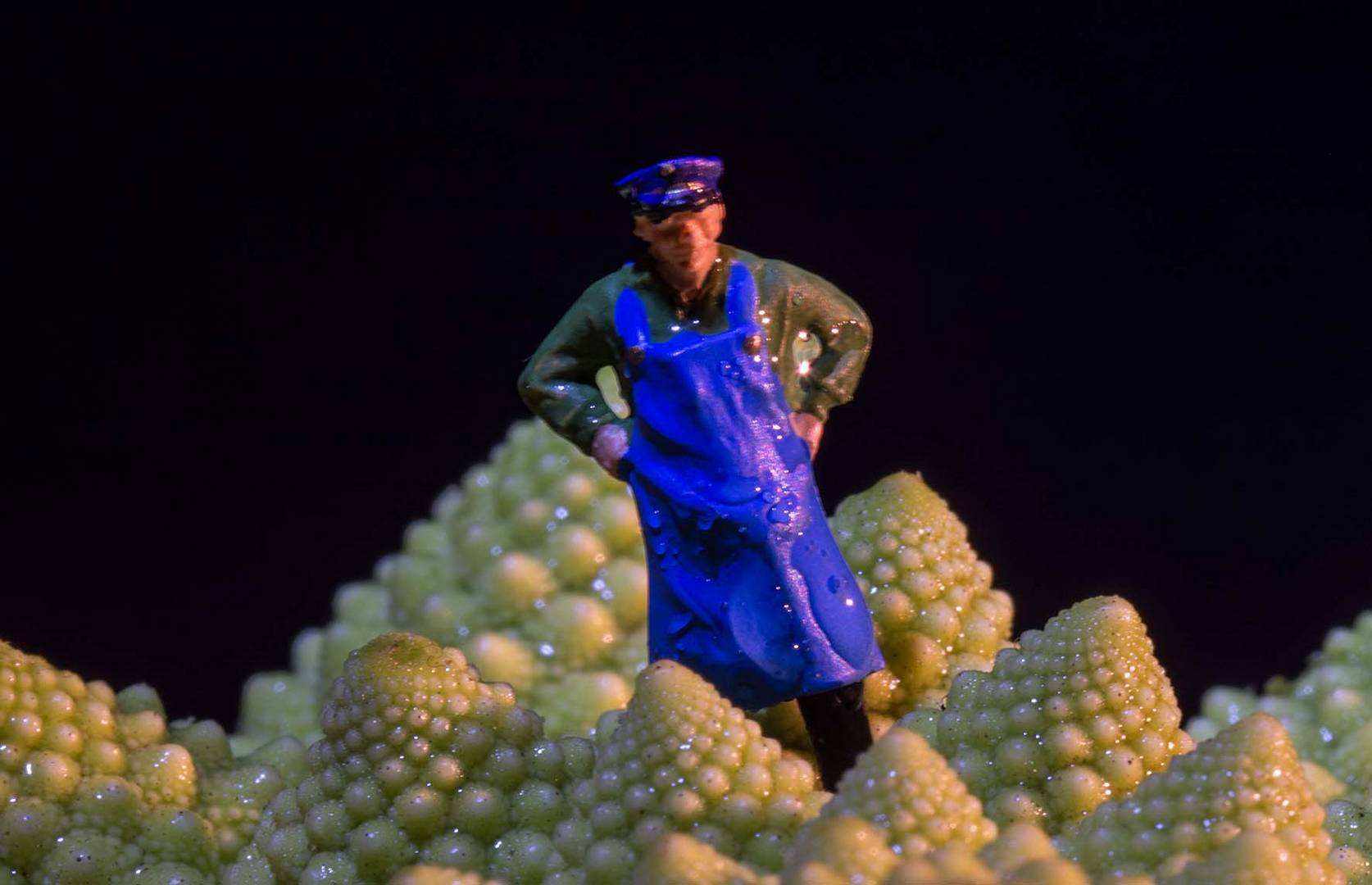 Lagerarbieiter im Romanesco-Gebirge