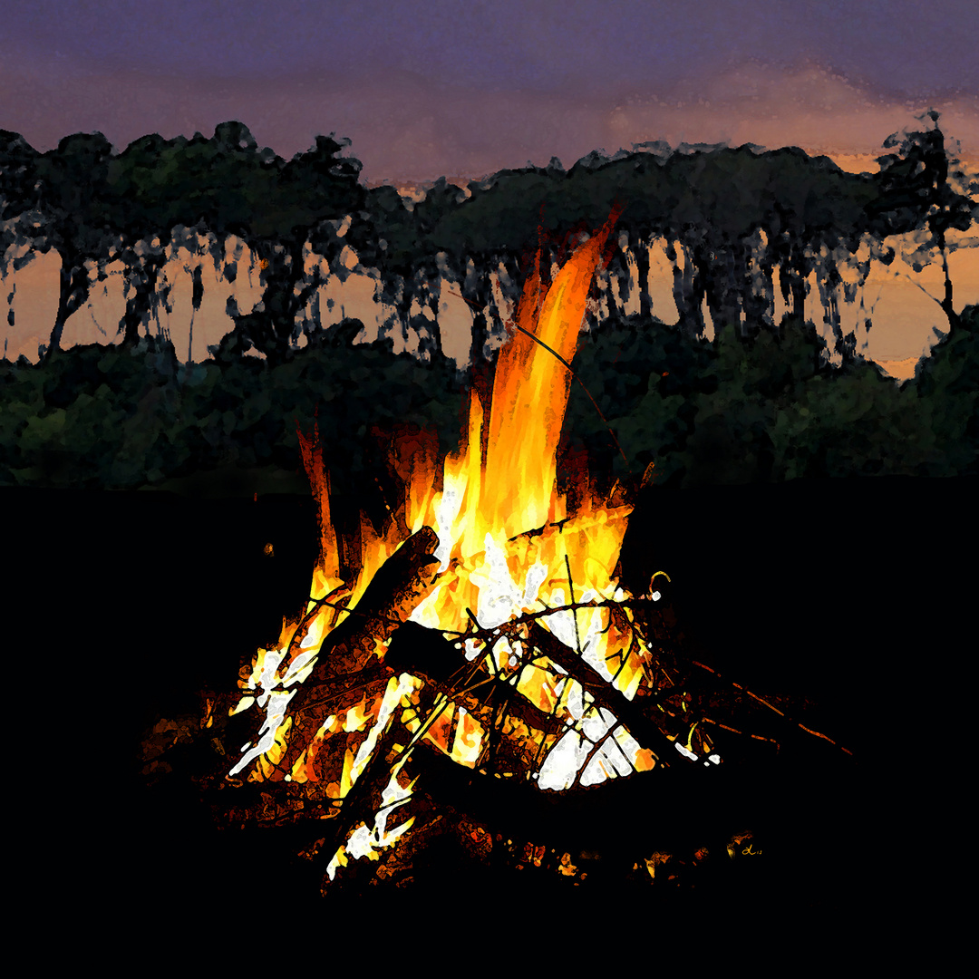 Lagerfeuer Foto & Bild | licht, natur, composing Bilder auf fotocommunity