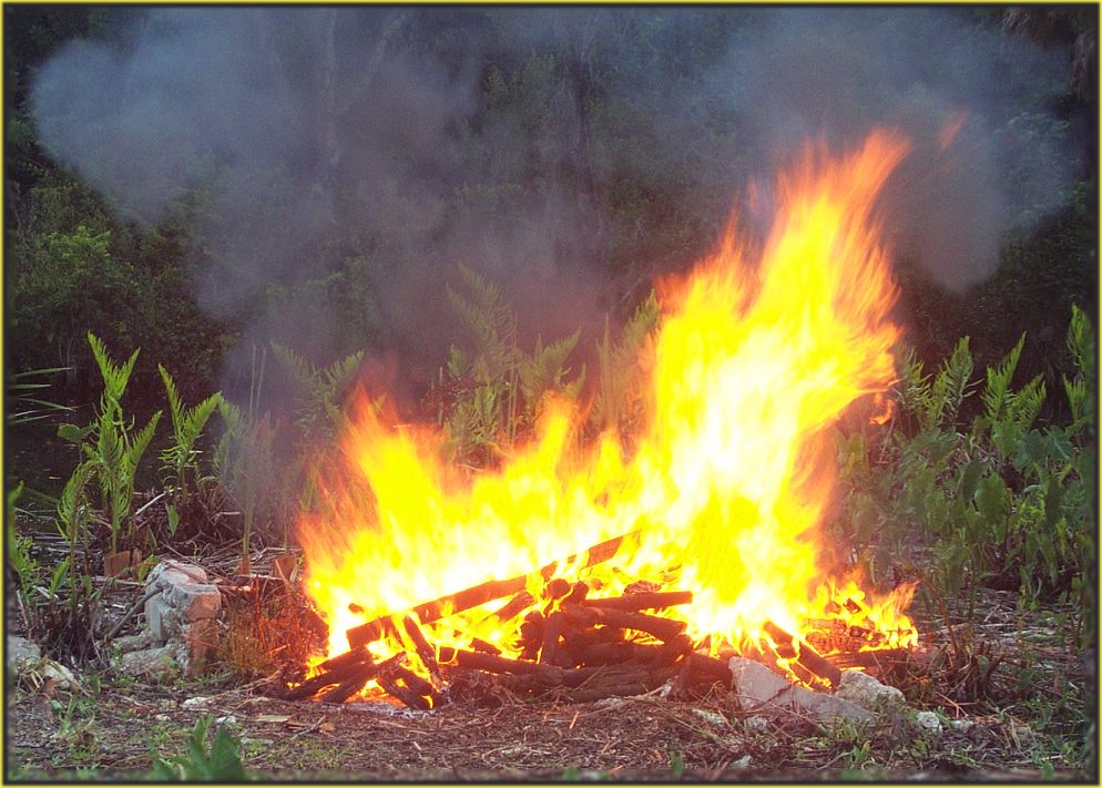 Lagerfeuer im Jungle