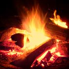 ...Lagerfeuer im November...