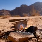 Lagerfeuer im Wadi Rum