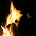 : Lagerfeuer mit Marshmallow :