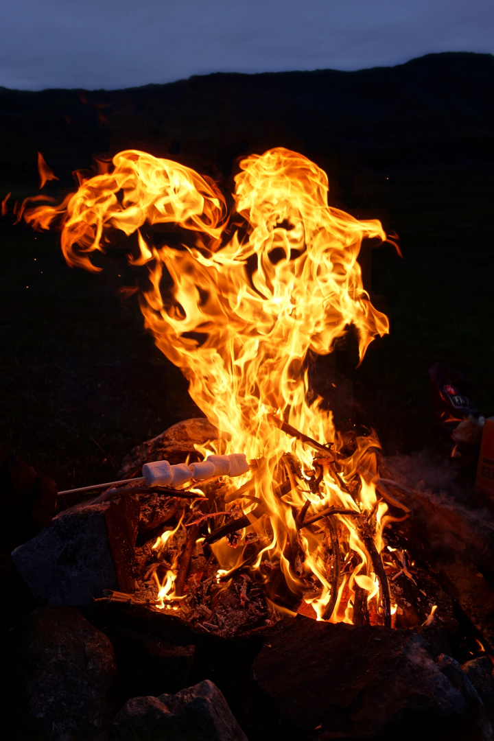 Lagerfeuer mit Marshmallows