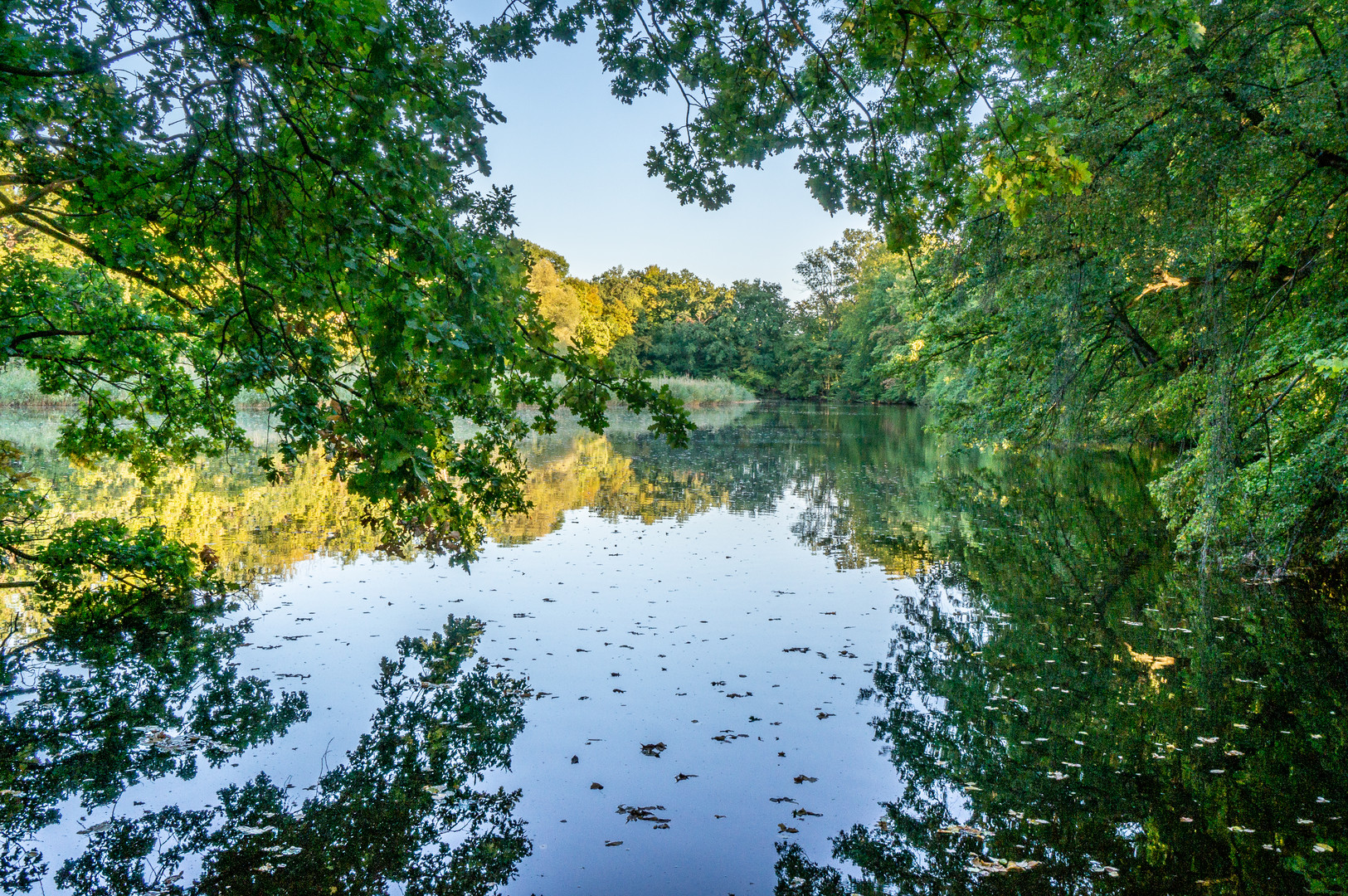 Lageteich - Riddagshausen/Braunschweig