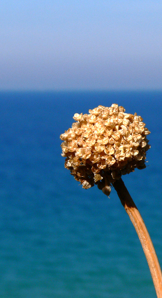 laggiù, l'orizzonte