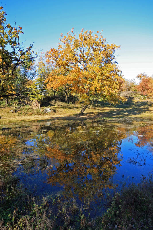 laghetto a Ora-Auer_______________ www.photoitalia.eu