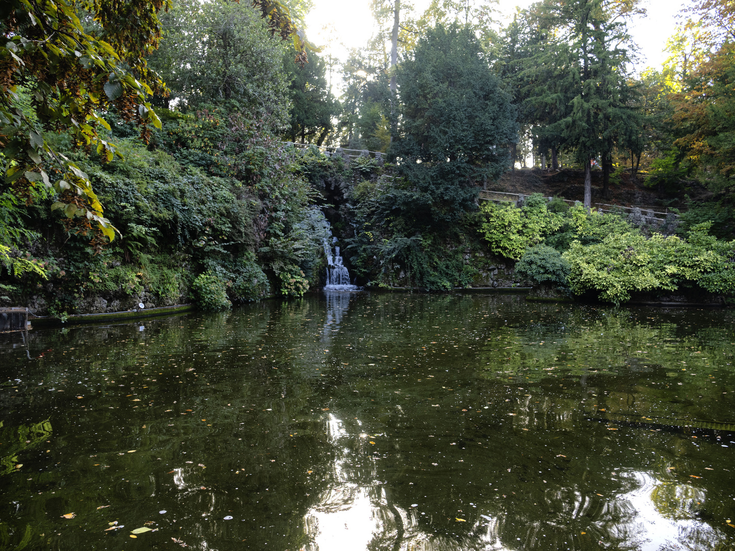 Laghetto dei cigni