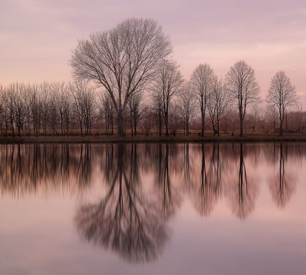 Laghetto dei Pilastroni.