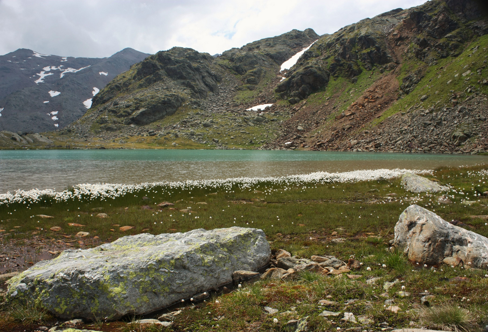 Laghetto Fiorito nel Parco Nazionale dello Stelvio