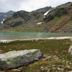 Laghetto Fiorito nel Parco Nazionale dello Stelvio